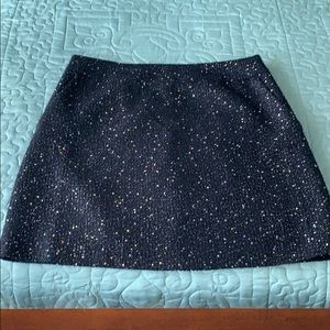 Ann Taylor Loft Skirt